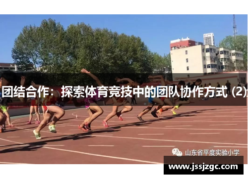 团结合作：探索体育竞技中的团队协作方式 (2)